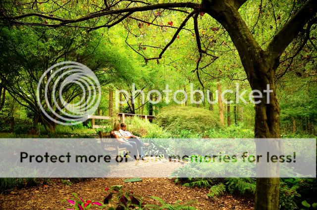 Amanda and Blake's Engagement S...